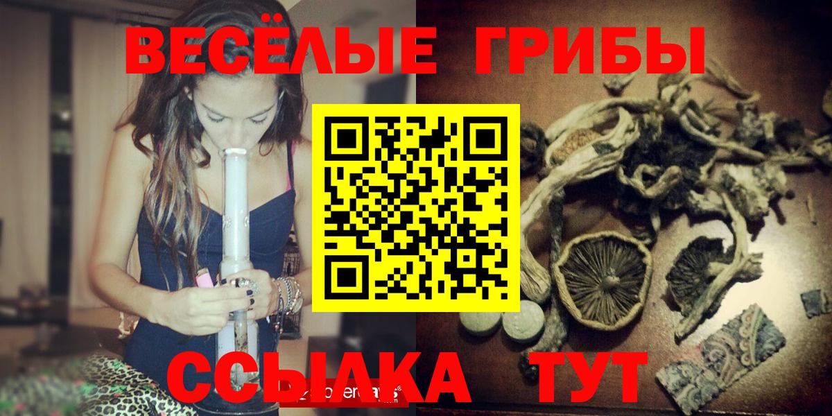 Псилоцибиновые грибы Psilocybine cubensis Ливны